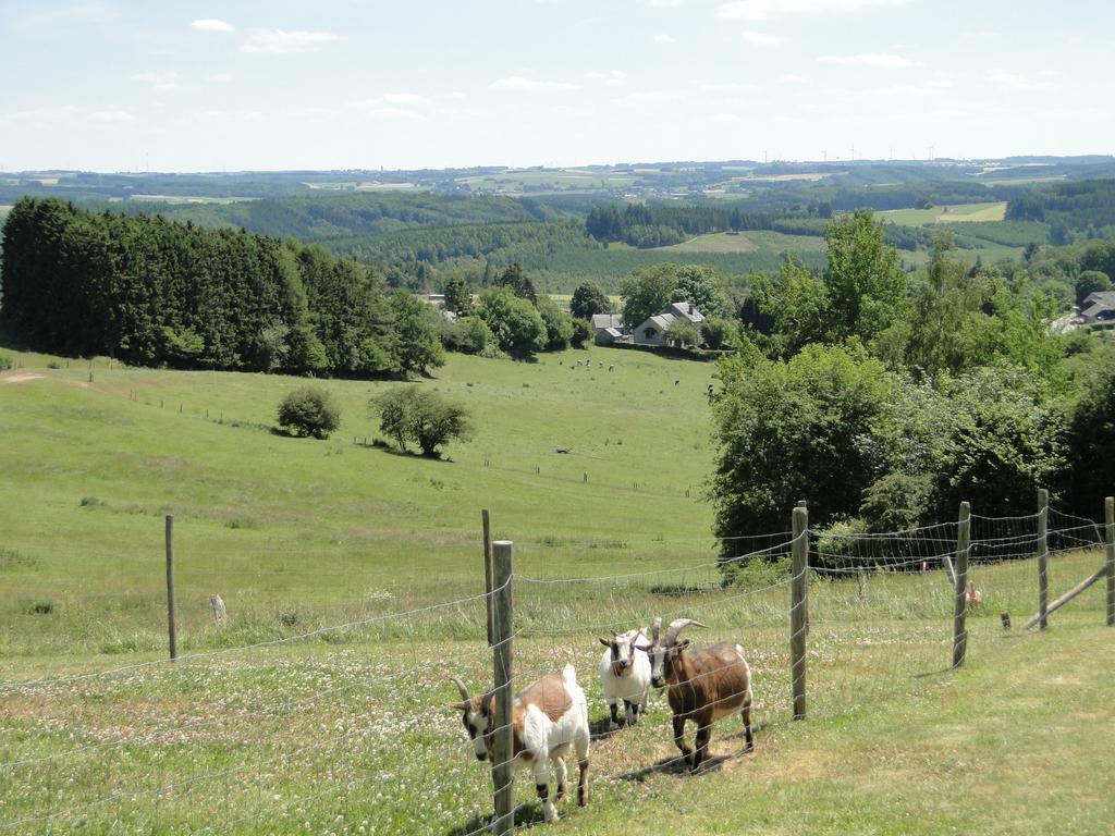 A Pas De Loup Hébergement de vacances La-Roche-en-Ardenne