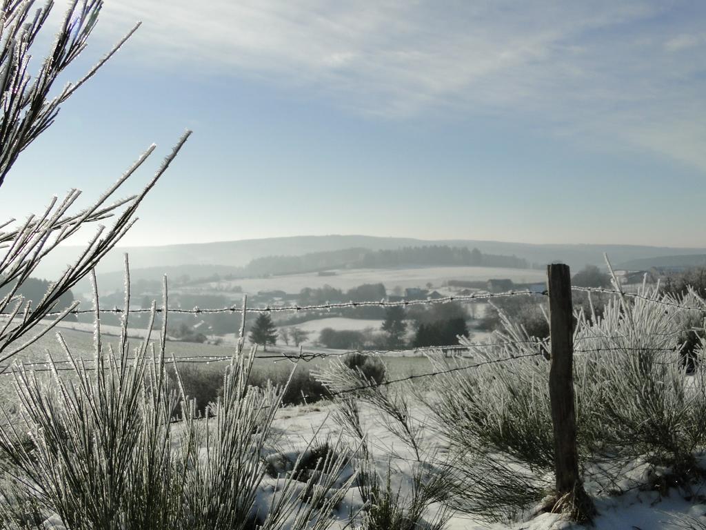 A Pas De Loup La-Roche-en-Ardenne