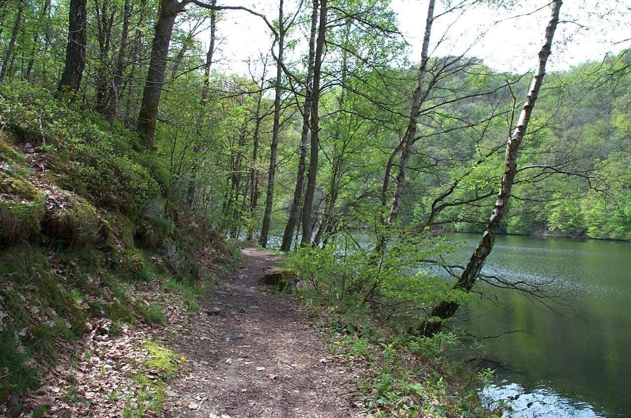 A Pas De Loup La Roche-en-Ardenne